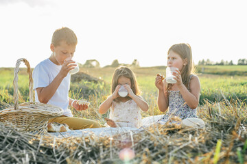 Portrait of joyful boy and two girls sitting on blanket in field, having picnic, drinking milk and eating bread. Relaxing time. Talking and stare into the distance. Light sunny day. Horizon