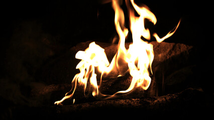 Burning wood in the fire. Camp fire in the night. Fire flames. Forest fire close up