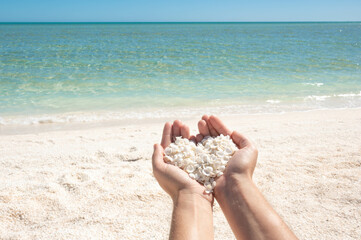 Fototapeta na wymiar hands holding seashells on the beach