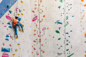 Young Woman rock climbing indoors. - obrazy, fototapety, plakaty