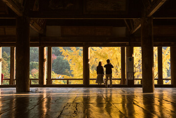豊国神社（千畳閣）のイチョウと観光客　秋の広島県・宮島　Autumn yellow gingko tree and tourists at Hokoku Shrine in Miyajima, Hiroshima, Japan