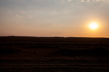 beautiful dreary nature during sunset on the field