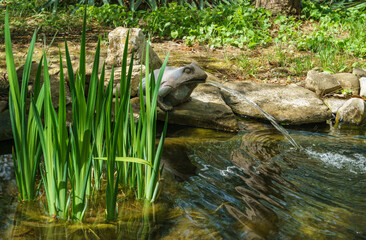 Beautiful small garden pond with frog-shaped fountain and stone shores in spring. Selective focus. Nature concept for design