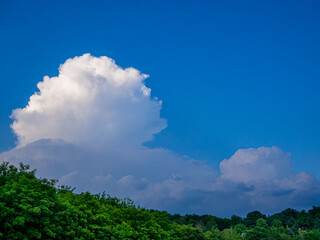 Sunlit top of the massive rain cloud, Cumulus congestus, in the blue sky over wooded hill in the early evening