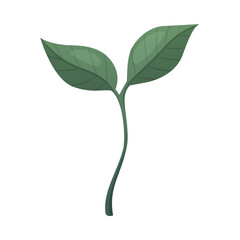 Cartoon Coffee Sprout