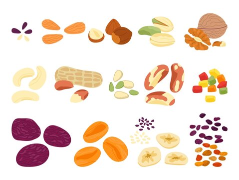 Dried Fruits Nuts And Seed. Crunchy Snack Mix, Various Natural Food, Nuts And Sunflower Seeds. Different Chips, Almond, Pistachio, Cereal Decent Vector Set