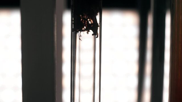 beautiful abstraction of a drop of perm in the water, close-up, macro photography, slow motion