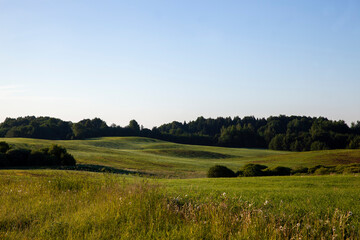 Obraz premium landscape with hilly territory with plants