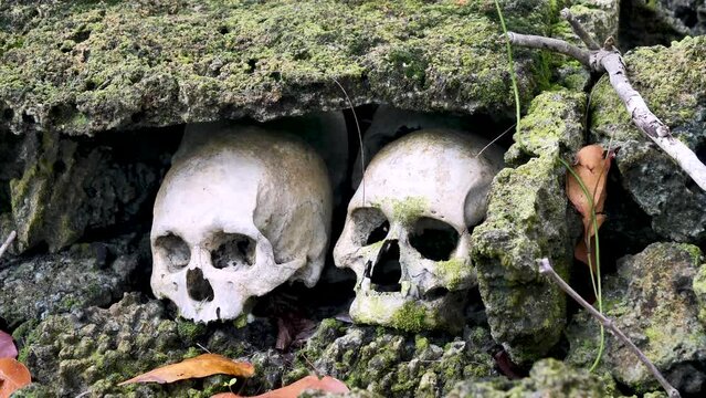 Scull Island, Munda, Solomon Islands - Headhunting &mdash; the practice of preserving the decapitated head of an enemy after he or she is killed - creepy-yet-fascinating ceremonial practice.