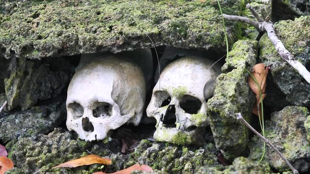 Scull Island, Munda, Solomon Islands - Headhunting &mdash; the practice of preserving the decapitated head of an enemy after he or she is killed - creepy-yet-fascinating ceremonial practice.