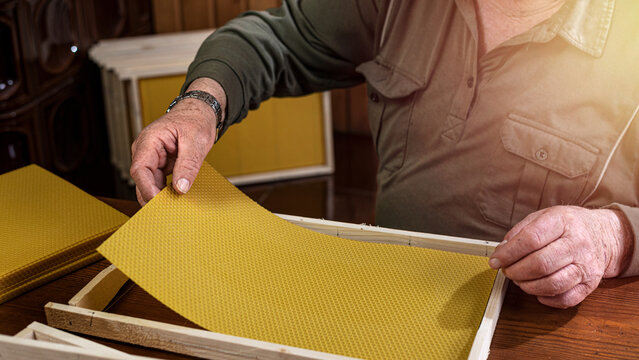 hands of old beekeeper are inserting of beeswax base into the bee frame.