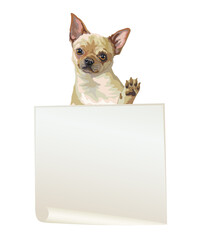 Empty banner with Chihuahua dog vector illustration