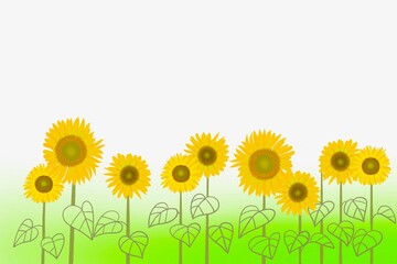 Fototapeta premium 夏のひまわり畑をデザインし、コピースペースをつけたイラスト