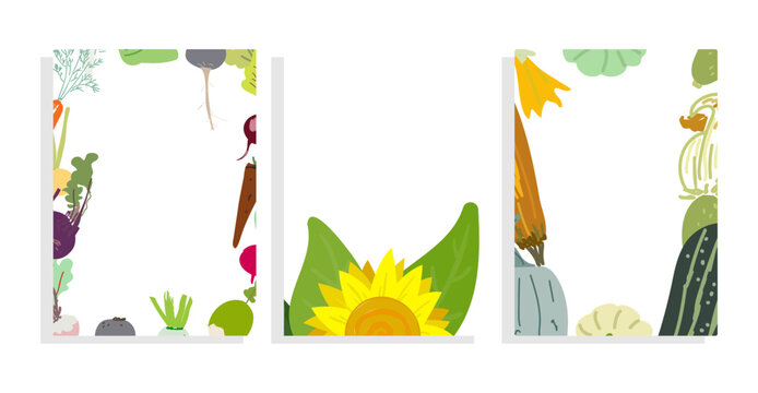 vector template background set with flat root vegetable, sunflower, zucchini  
