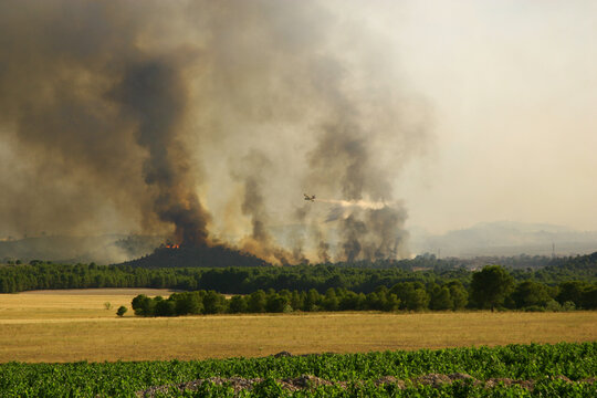 Incendio forestal, 1 de julio de 2012, Hell&iacute;n-Albacete-Espa&ntilde;a. Descarga de avi&oacute;n anfibio "Canadair CL-215".