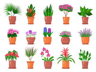 Flowers pots. Colored nature collections of leaves and flowers for interior decorated recent vector templates set
