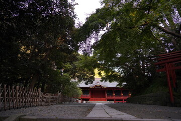 和