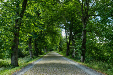 Alleestraße, Mecklenburg-Vorpommern, Deutschland