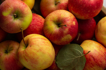 Fresh harvest of apples in a wooden box food background