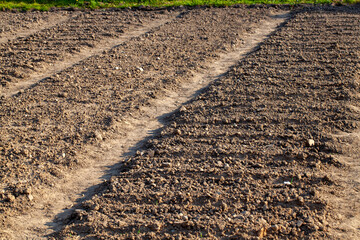 part of the territory of an agricultural field with fertile soil