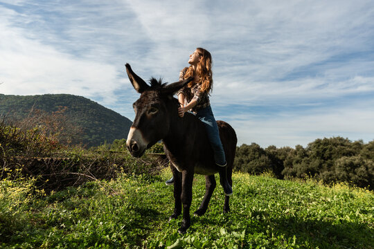A young woman sitting on a donkey looking up at the sun in the meadow.
