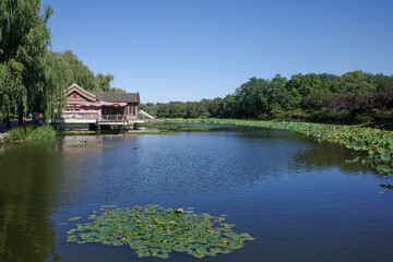 Yuanmingyuan ruin and lake