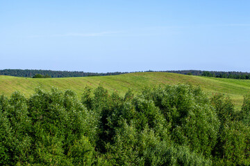 Fototapeta na wymiar landscape with hilly territory with plants
