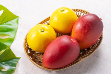 【宮崎県の代表的フルーツ】完熟マンゴーと日向夏