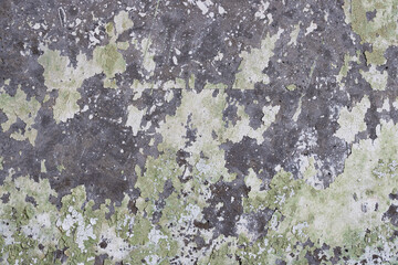 Peeling paint on the wall. Old concrete wall with cracked flaking paint. Weathered rough painted surface with patterns of cracks and peeling. Grunge texture for background and design. High resolution.