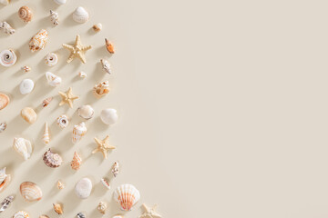 Seashells and starfish with long shadows on beige background. Summer concept. Nautical pattern pastel colored. Aesthetic trend layout shells, sea stars, minimal style creative composition
