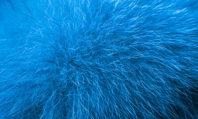 blue artificial hair. background or texture