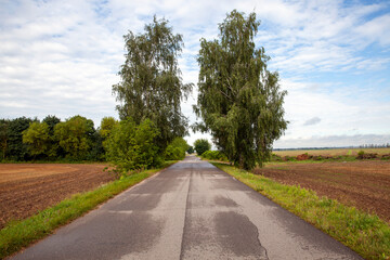 landscape on the asphalt road for vehicles