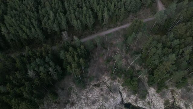 Wald&uuml;berflug mit Bach und Wegen