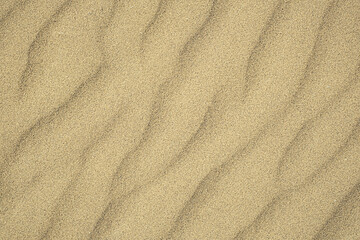 Fototapeta na wymiar Sand texture closeup. Sand backgound. Top view.