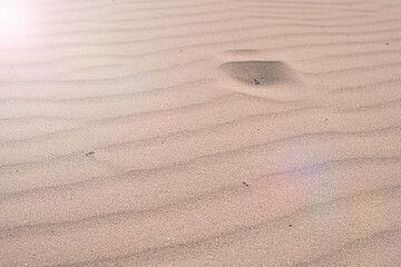 Sand texture closeup. Sand backgound. Top view.