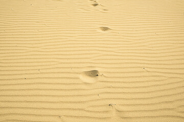 Sand texture closeup. Sand backgound. Top view.