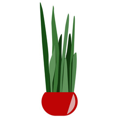 Succulent in red pot vector illustration