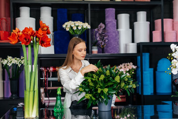 A young female florist takes care of flowers in a cozy flower shop and collects bouquets. Floristry and making of bukets in a flower shop. Small business.