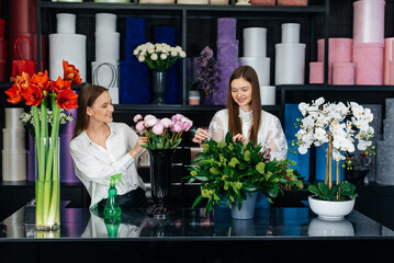 Two young women take orders by phone and make beautiful festive bouquets in a cozy flower shop. Floristry and bouquet making in a flower shop. Small business.