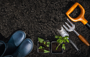 Tools for gardening. Top view on the ground. - obrazy, fototapety, plakaty