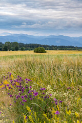 Fototapeta premium Nizke Tatry (Low Tatras), Slovakia