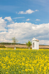 spring landscape near Konice near Znojmo, Czech Republic