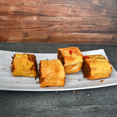 Indonesian snack, Roti gulung abon ikan tuna or Shredded tuna roll on a white folding plate.