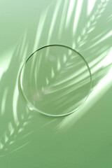 Round acrylic plate on green background with tropical leaf shadow. Stylish background for presentation.