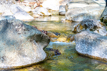 Mountain watercourse. Abundance of water, saving and use of water resources. Contrast of drought. 
