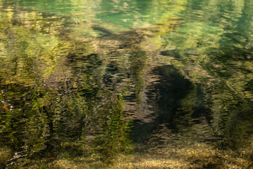 
Patagonia argentina parque nacional "los alerces"
PATAGONIA ARGENTINA NATIONAL PARK "LOS ALERCES"