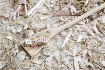 Selbst geschnitzter Holzlöffel Kochlöffel Pfannenkratzer mit dem Wort – Wood - auf einer Werkbank mit Holzspäne, Deutschland - obrazy, fototapety, plakaty