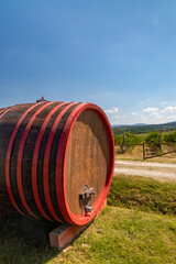 Obraz premium Wine barrel in vineyard, Tuscany, Italy