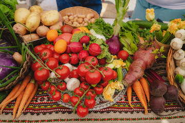 Fresh vegetables on the table. Carrot, garlic, tomato, zucchini flowers, beetroot, kohlrabi, onion, marrow, potatoes, celery, radish, cucumber,  peas. Healthy organic food concept. 