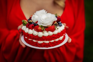 Female hands hold a birthday cake made of red biscuit and white cream. The cake is decorated with white flowers, strawberries and blueberries.
